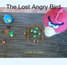 The Lost Angry Bird book cover