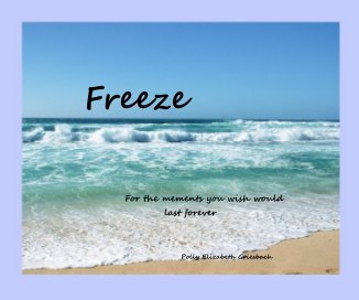 Freeze book cover
