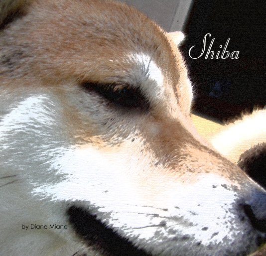 View Shiba by Diane Miano