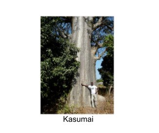 Kasumai book cover