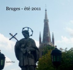 Bruges - été 2011 book cover