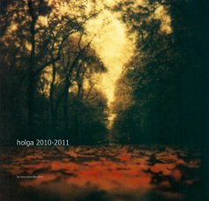 holga 2010-2011 book cover
