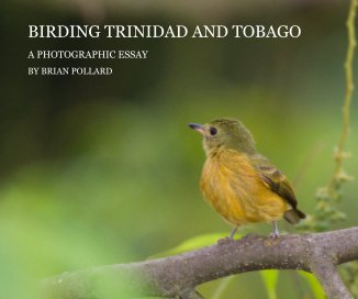 BIRDING TRINIDAD AND TOBAGO book cover