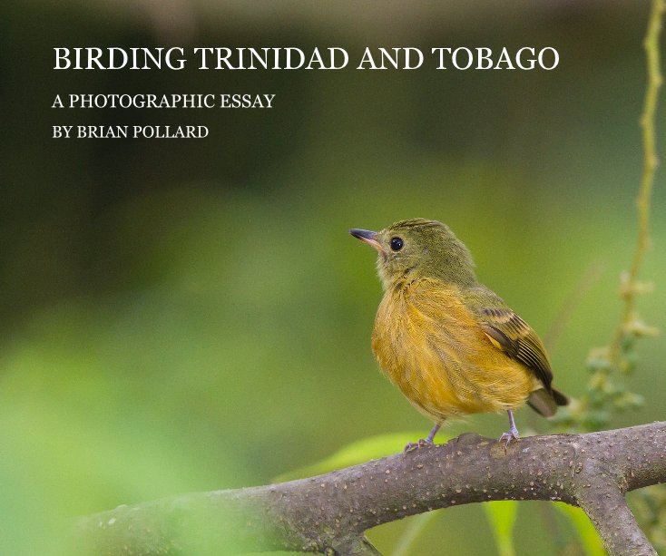 View BIRDING TRINIDAD AND TOBAGO by BRIAN POLLARD