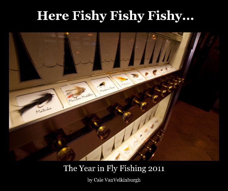 Visualizza Here Fishy Fishy Fishy... di Cale VanVelkinburgh