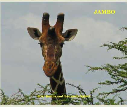 JAMBO book cover