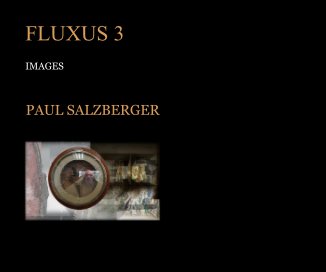 FLUXUS 3 book cover