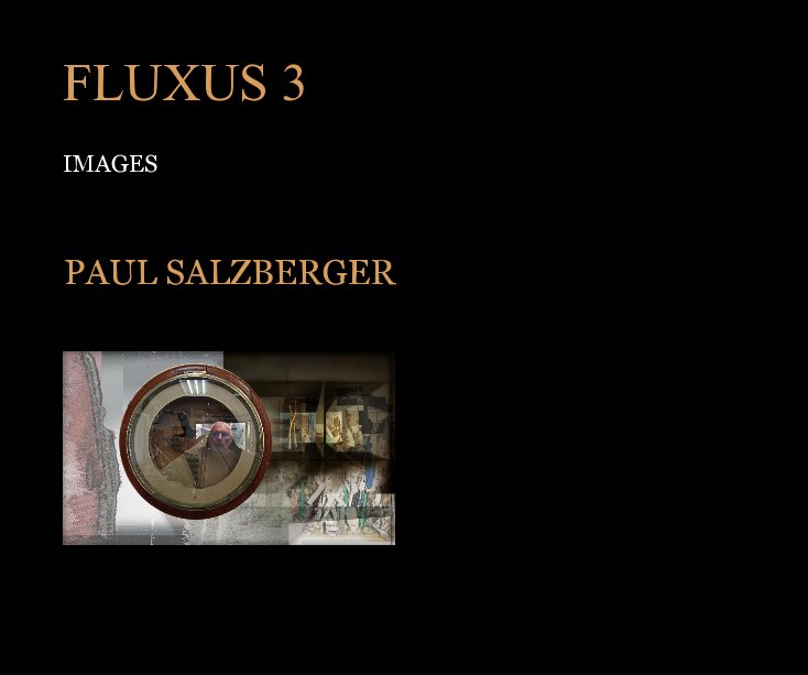 Visualizza FLUXUS 3 di PAUL SALZBERGER