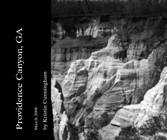 Providence Canyon, GA book cover