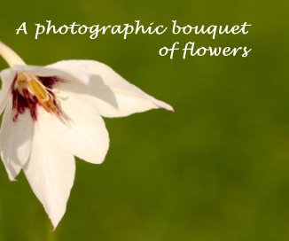A photographic bouquet of flowers book cover