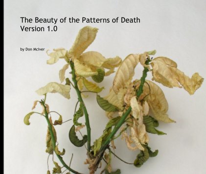 The Beauty of the Patterns of Death Version 1.0 book cover