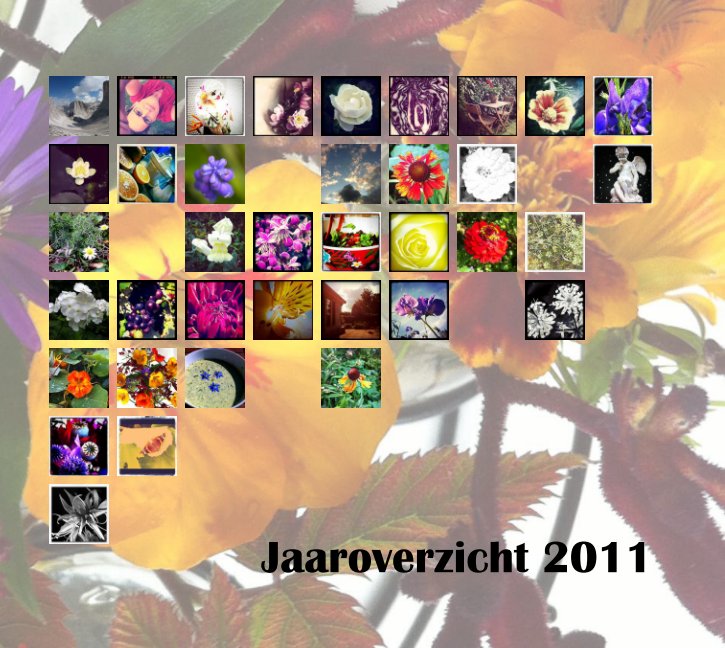 Ver Jaaroverzicht 2011 por Wobke