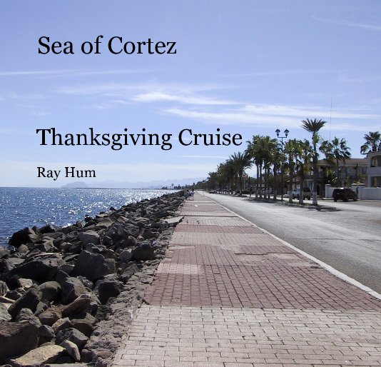 View Sea of Cortez by Ray Hum