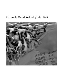 Zwart Wit fotografie Nederland 2011 book cover