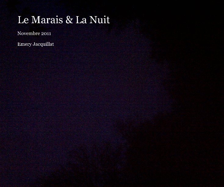 View Le Marais & La Nuit by Emery Jacquillat