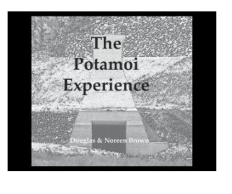 The Potamoi Experience book cover