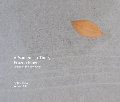 A Moment in Time, Frozen Flow Leaves in the Bow River book cover