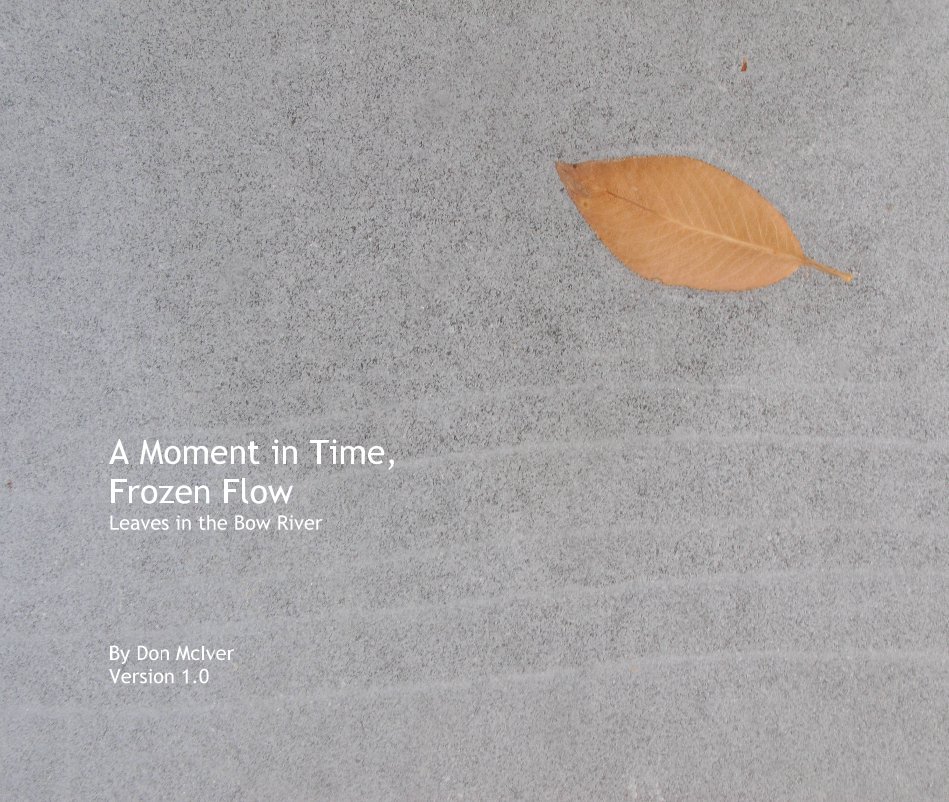 Visualizza A Moment in Time, Frozen Flow Leaves in the Bow River di Don McIver Version 1.0