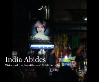 India Abides: Visions of the Beautiful and Sublime in India book cover
