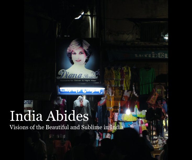 Ver India Abides: Visions of the Beautiful and Sublime in India por Robert L. Fulton, Jr.