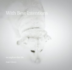With Best Intentions book cover
