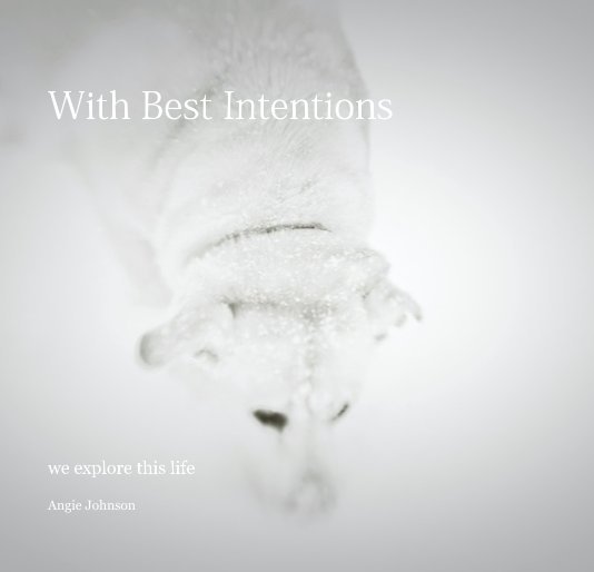 Visualizza With Best Intentions di Angie Johnson