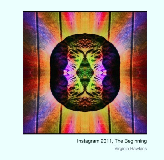 View Instagram 2011, The Beginning by Virginia Hawkins