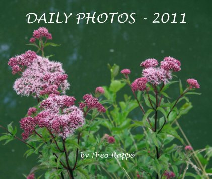 DAILY PHOTOS - 2011 book cover