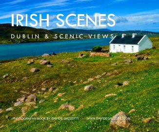 IRISH SCENES book cover
