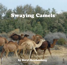 Swaying Camels book cover