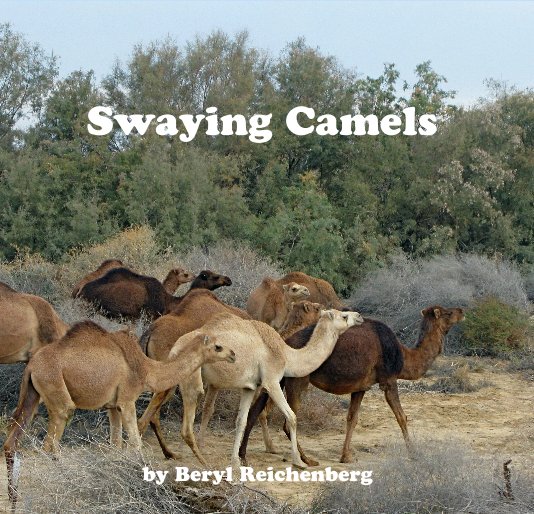 View Swaying Camels by Beryl Reichenberg