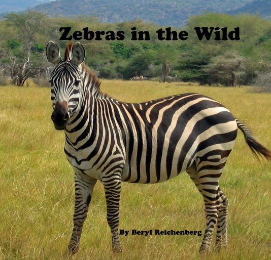 View Zebras in the Wild by Beryl Reichenberg