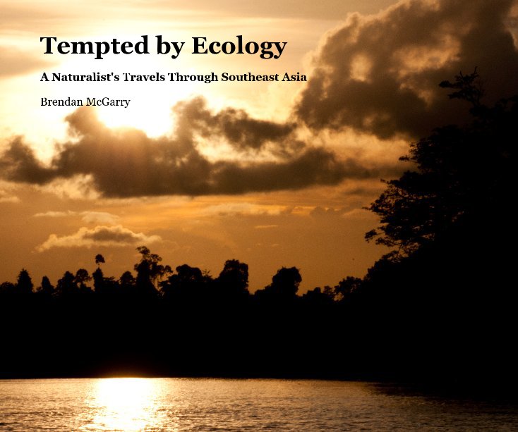 View Tempted by Ecology by Brendan McGarry