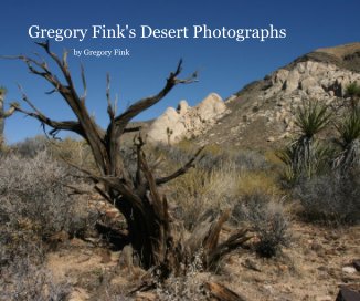 Gregory Fink's Desert Photographs book cover