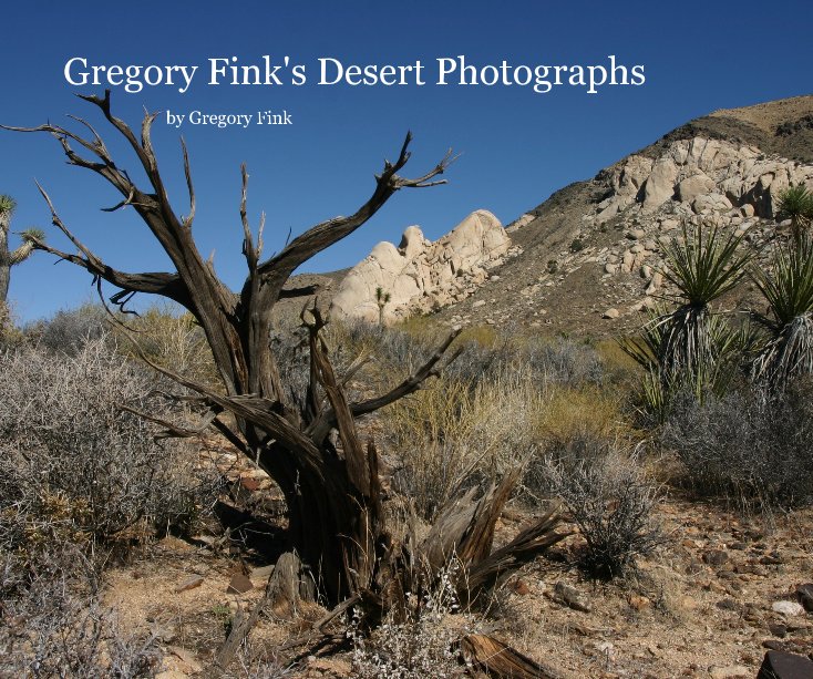 View Gregory Fink's Desert Photographs by Gregory Fink