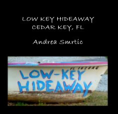 LOW KEY HIDEAWAY CEDAR KEY, FL book cover