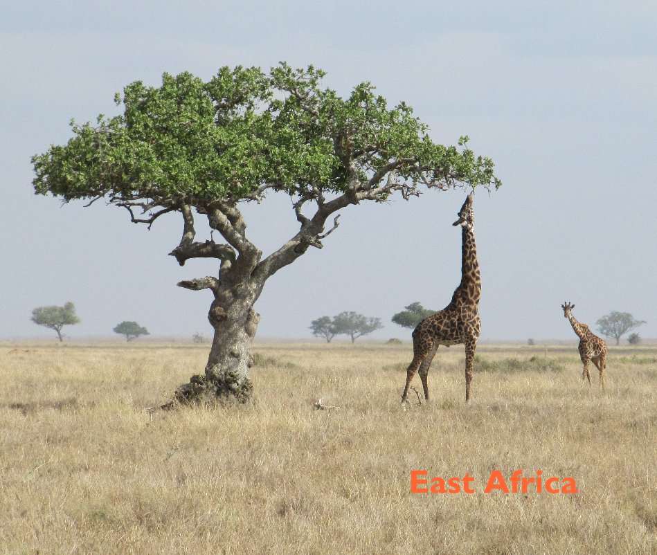 View East Africa by Marilyn Wells