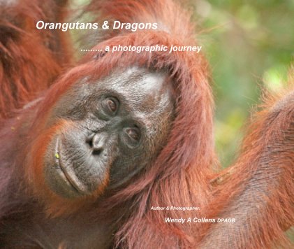 Orangutans & Dragons book cover