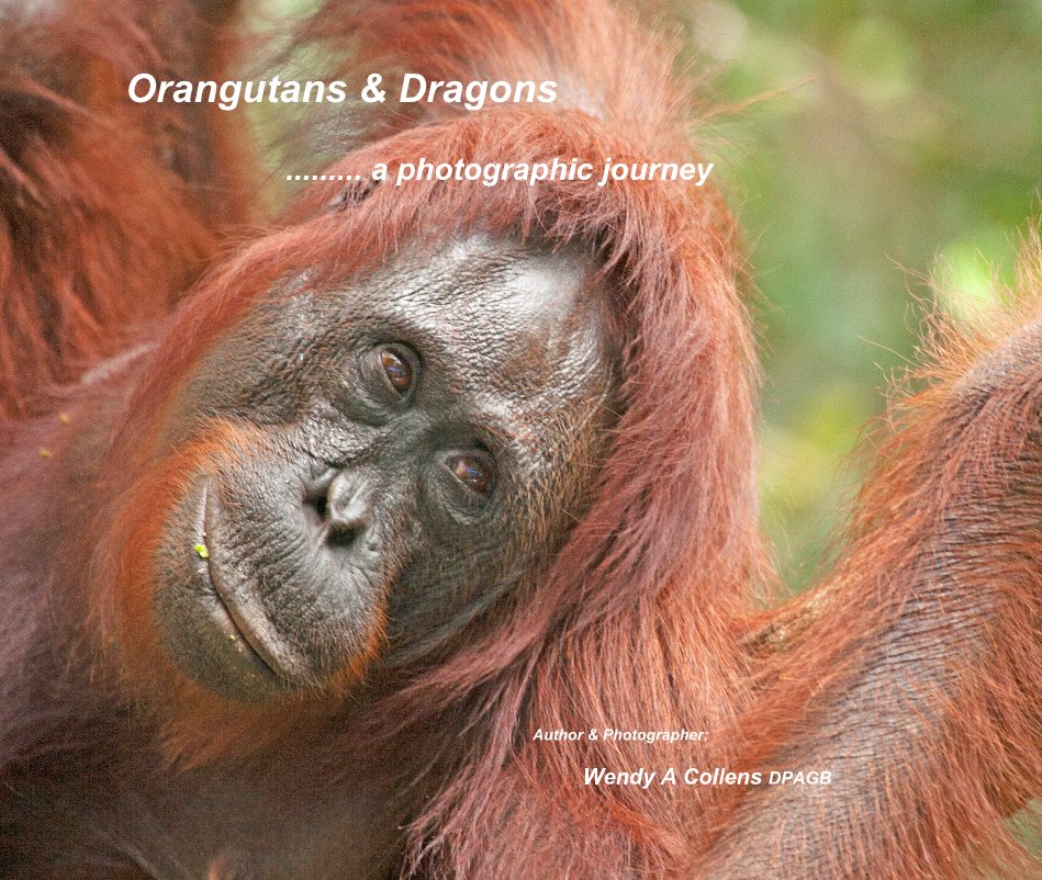 View Orangutans & Dragons by Author & Photographer: Wendy A Collens DPAGB