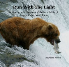 Run With The Light (7" square) book cover