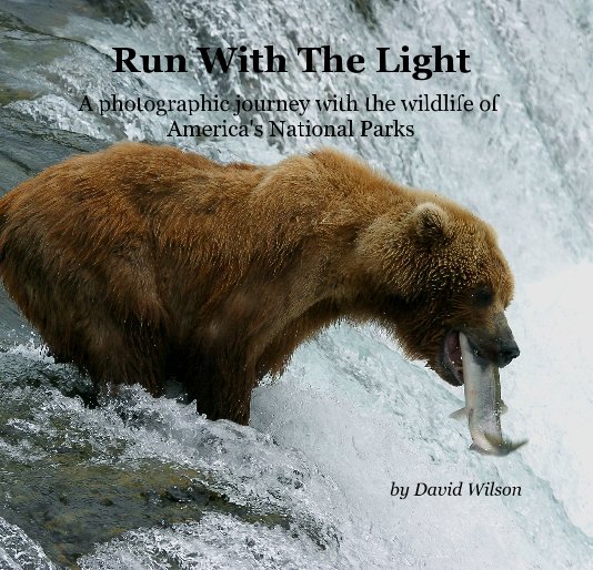 View Run With The Light (7" square) by David Wilson