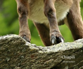 Chiapili book cover
