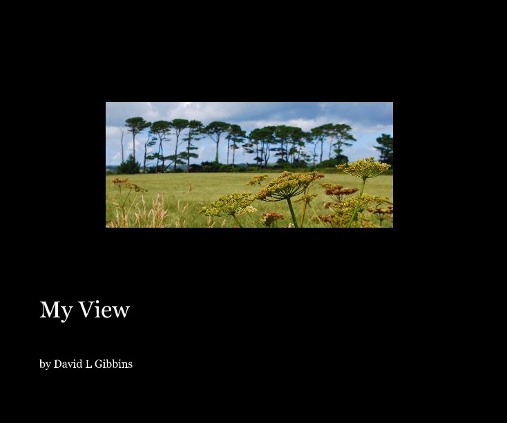 View My View by David L Gibbins