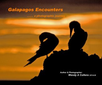 Galapagos Encounters book cover