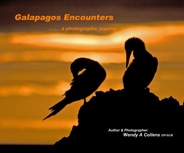 View Galapagos Encounters by Author & Photographer: Wendy A Collens DPAGB