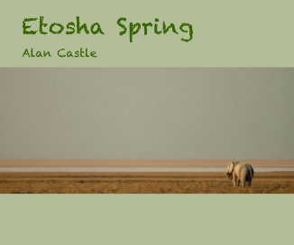 Etosha Spring book cover