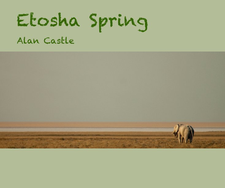 View Etosha Spring by Alan Castle