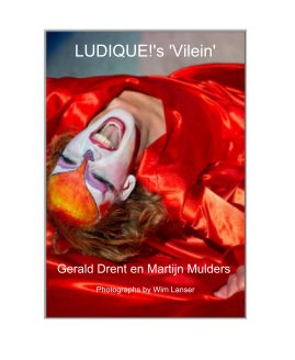 LUDIQUE!'s 'Vilein' book cover