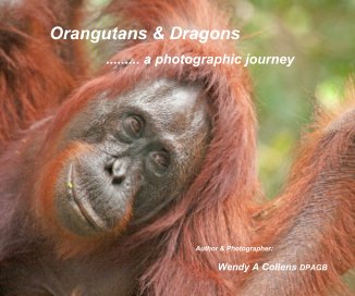 orangutans & dragons 2 book cover