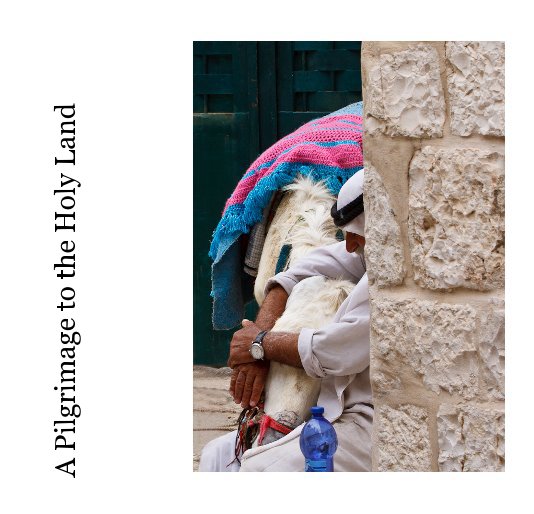 View A Pilgrimage to the Holy Land by Doreen Mellor